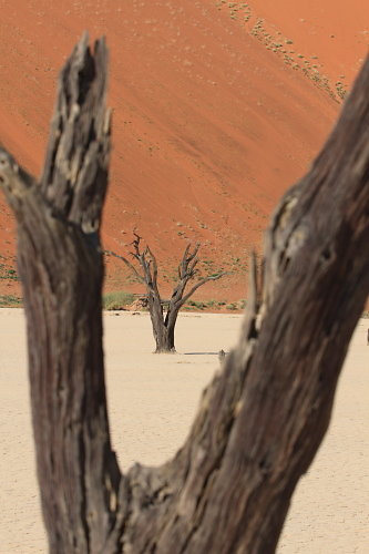 Sossusvlei-01.JPG