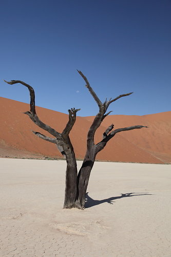 Sossusvlei-03.JPG