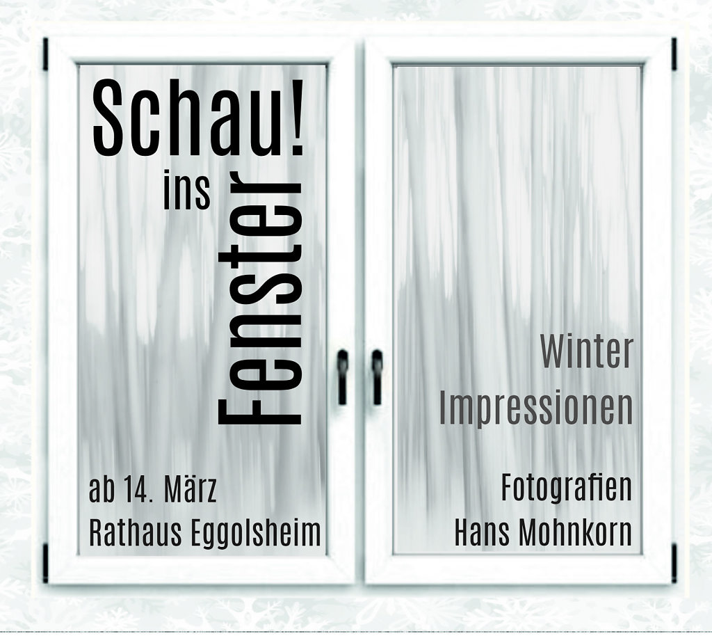 Logo Schau!Ins Fenster